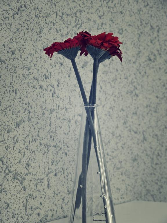 Pokój jednoosobowy ze wspólną łazienką